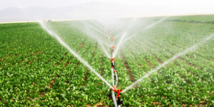 Segmentos Atendidos pela WorTEC Bombas