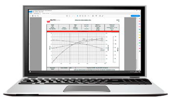 Curva de Performance